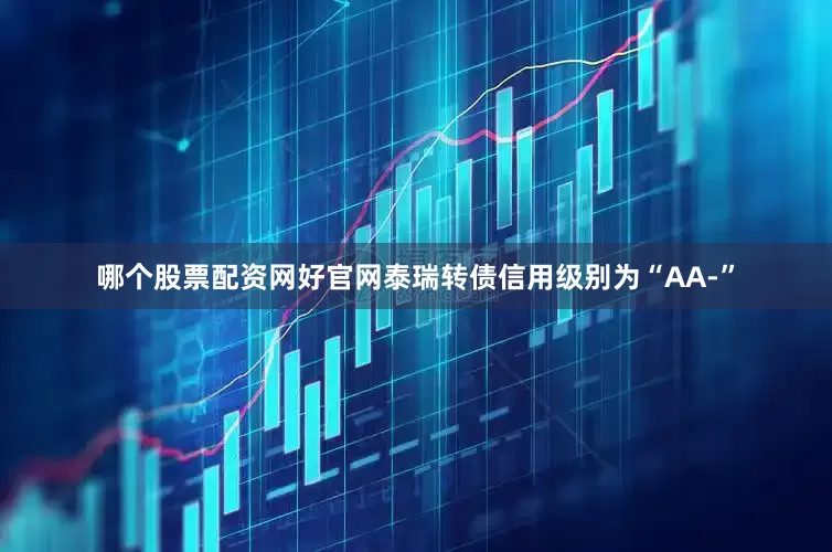 哪个股票配资网好官网泰瑞转债信用级别为“AA-”