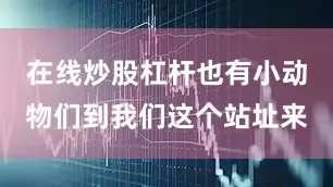 在线炒股杠杆也有小动物们到我们这个站址来