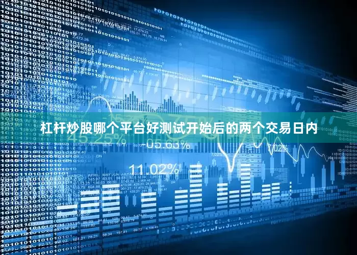 杠杆炒股哪个平台好　　测试开始后的两个交易日内